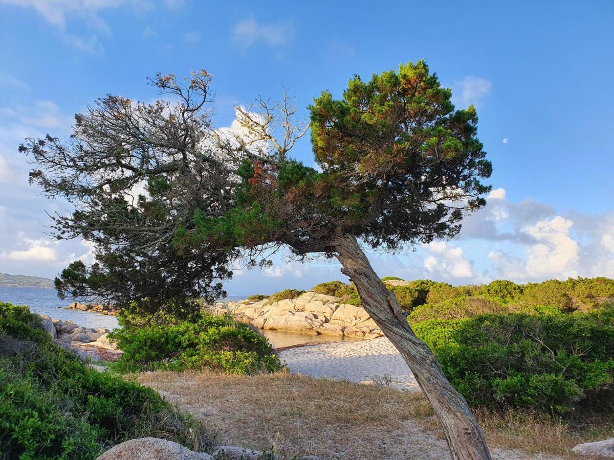 Villa L'ortu di Quaprice Figari  Esterno foto