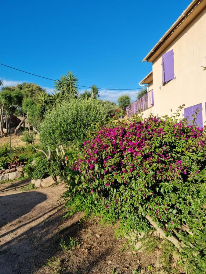 Villa L'ortu di Quaprice Figari  Esterno foto